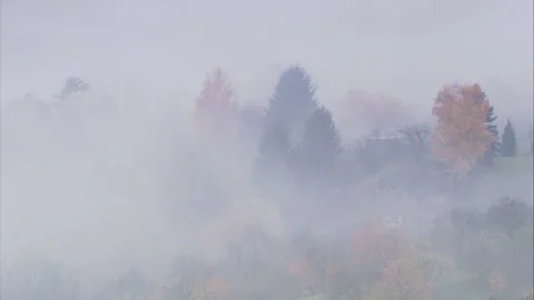 Fog rolls over the valley with brightly colored trees Stock Footage 283172307