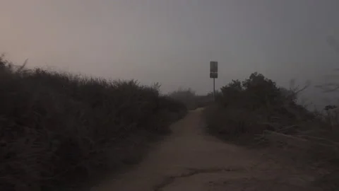 Fog rolls in as the sunsets Stock Footage 165144866