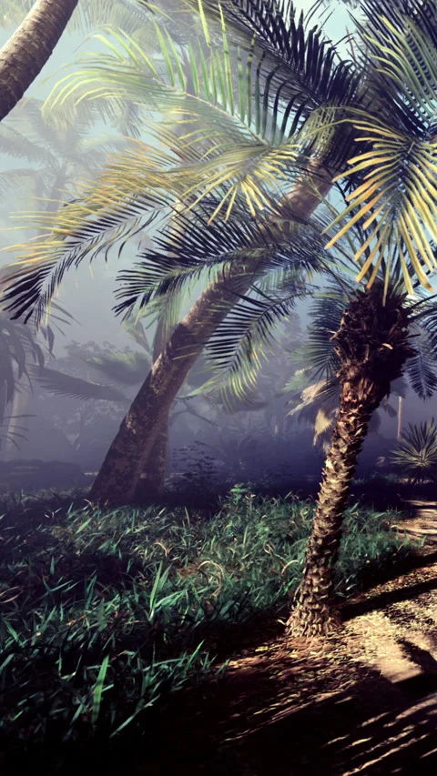 Fog settles over a tropical forest with palm trees and green grass Stock-Footage 331709366