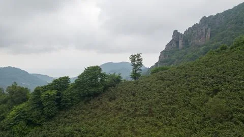 Fog settling between two mountains. Green natural forest at the foot of the m Stock Photos