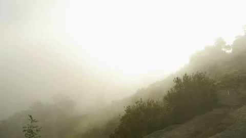 Fog Shrouded Hillside Video stock 90028573