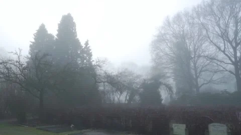 Fog slowly dissolves to reveal a sparsely populated cemetery Video stock 293081897