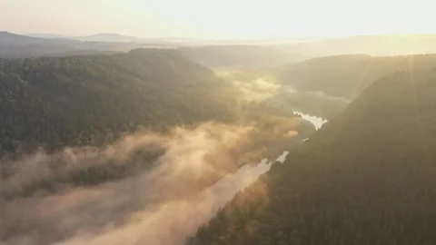 Fog slowly flowing over river and forest at sunrise 動画素材 305513106