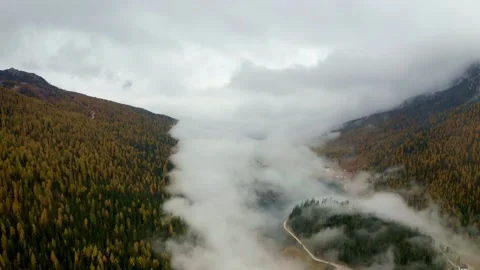 Fog slowly moving down forest Stock Footage 212338407