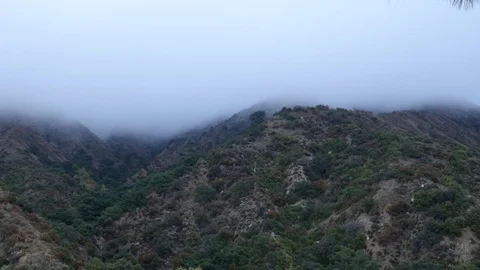 Fog slowly moving on mountain top. Stock Footage 121496485