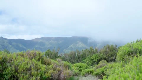 Fog slowly moving over lush green mountainside Vídeo Stock 333696253