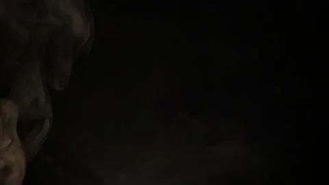 Fog smoke effect isolated on black close up slow motion Stock Footage 202732833
