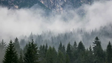 Fog smoke forest mountains Stock Footage 115899813