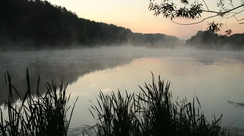 Fog Smoke on the Water Video stock 957511