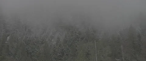 Fog in snow covered forest Stock Footage 247520724