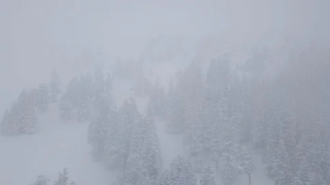 Fog in the snowy forest ski resort 스톡 동영상 101246455