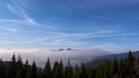 The fog spills over the spruce forest in the udol.. Blue sky with fine clouds Video stock 169599809