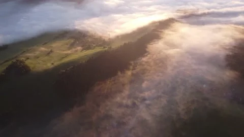 The fog is spreading in the spring landscape in the glow of the rising sun in Stock Footage 201163198