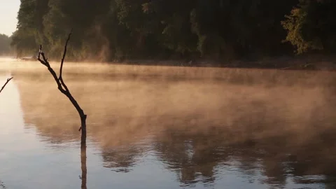 Fog spreads over the river at dawn, orange light. tree in water Video stock 162457097
