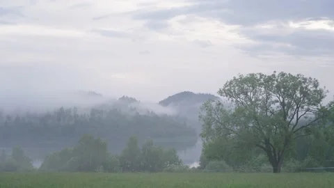Fog spreads over the tops of trees and hills, misty meadow, Carpathian Mountains Stock-Footage 237457669