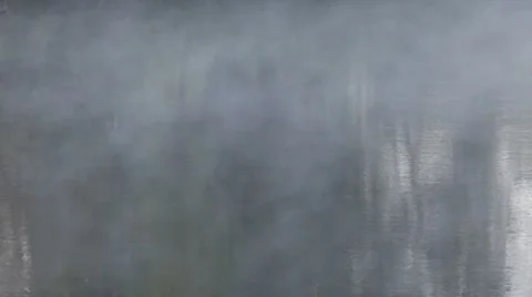 Fog, spring Video stock 7130899