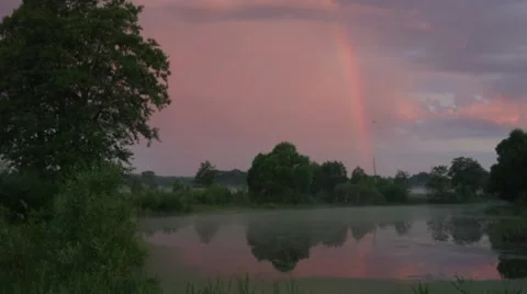 Fog, spring Stock Footage 7133600