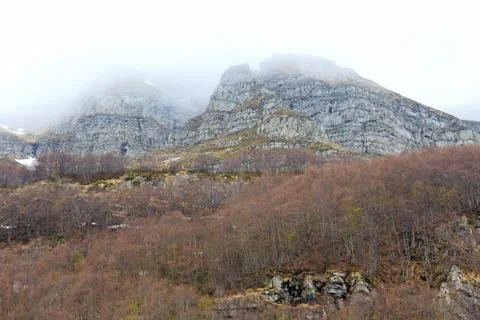 Fog in spring Stock Photos