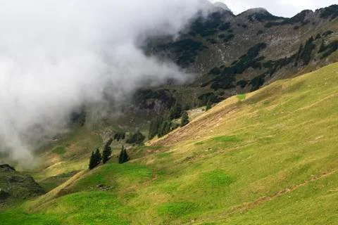 Fog in summer mountains Stock Photos