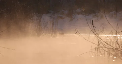 Fog in the sun, 4K slow motion Stock Footage 166855438