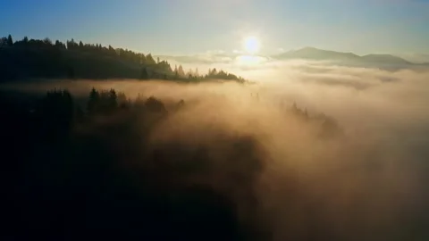 Fog sun forest mountains magic beautiful morning nature travel Vidéo 163761957