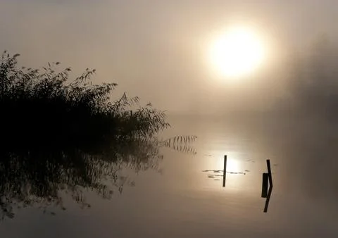 Fog sun water Stock Photos