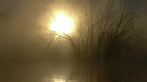 The fog sunrise swamp Stock Footage 45654144