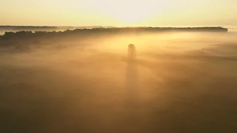 Fog Surrounding Lone Tree in Field at Sunrise - 4K Aerial Vidéo 158283373