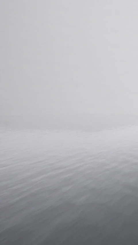 Fog surrounds calm water during early morning hours in a quiet location Stock Footage 331642979