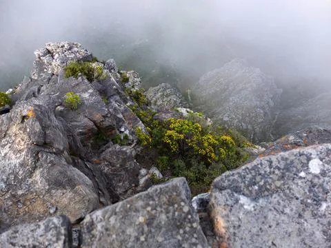 Fog on Table Mountain in the vicinity of Cape Town in South Africa. Stock Photos