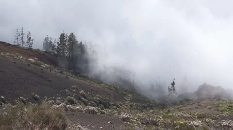 Fog in Tenerife mountans 스톡 동영상 5602483