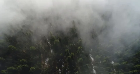 Fog. Thick fog in the forest. Drone flies over the forest. Mountains background. Video stock 112390077