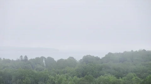 Fog time lapse Stock Footage 455198