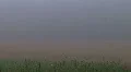 Fog Time Lapse HD Footage