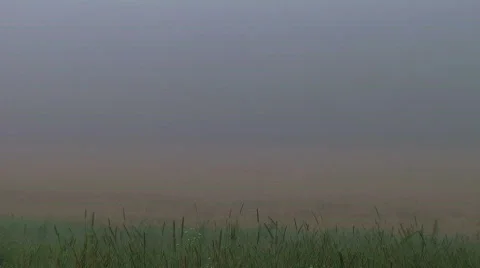 Fog Time Lapse Stockbeeldmateriaal 619429