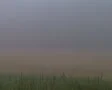 Fog Time Lapse SD Footage
