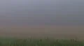 Fog Time Lapse HD Footage