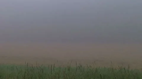 Fog Time Lapse 動画素材 8620916