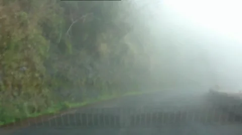 Fog Tours 04713 (2/2) Stock Footage