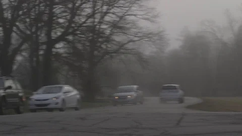 Fog with traffic in park Stock Footage 76326992