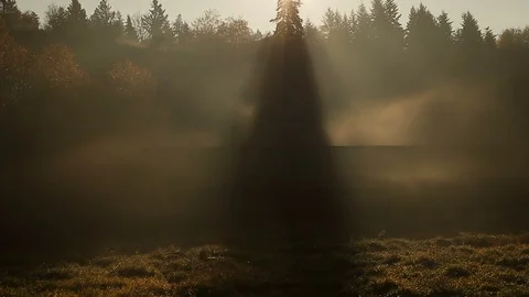 Fog on train tracks disturbed by canadian train passing through morning sun Video stock 97204259