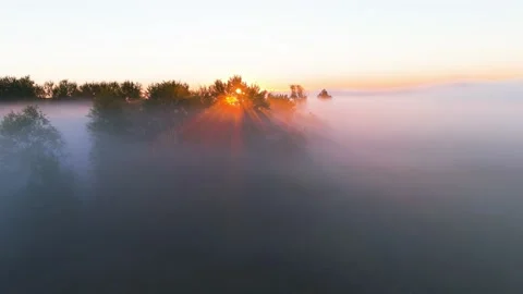 Fog, Trees, Sunrise 스톡 동영상 211786372