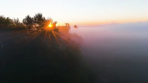 Fog, Trees, Sunrise 스톡 동영상 211786399