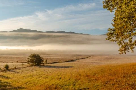 Fog in Valley in Cades Cove Stock Photos