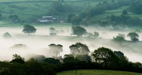 Fog in the valley Stock Footage 111919579