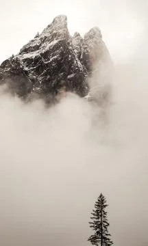 Fog in the valley Stock Photos