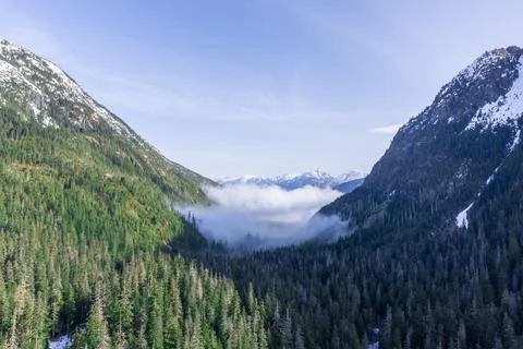 Fog in the valley 스톡 사진