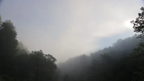 Fog in Valley Timelapse 库存影片 130227361