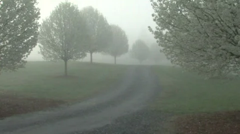 FOG WALK Stock Footage 698954