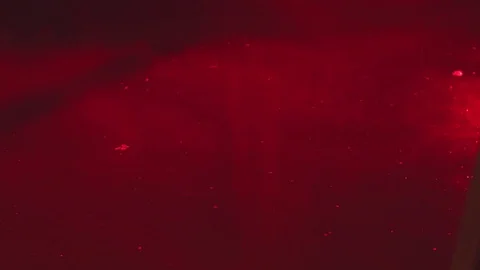 Fog on the water Stock Footage 81430582